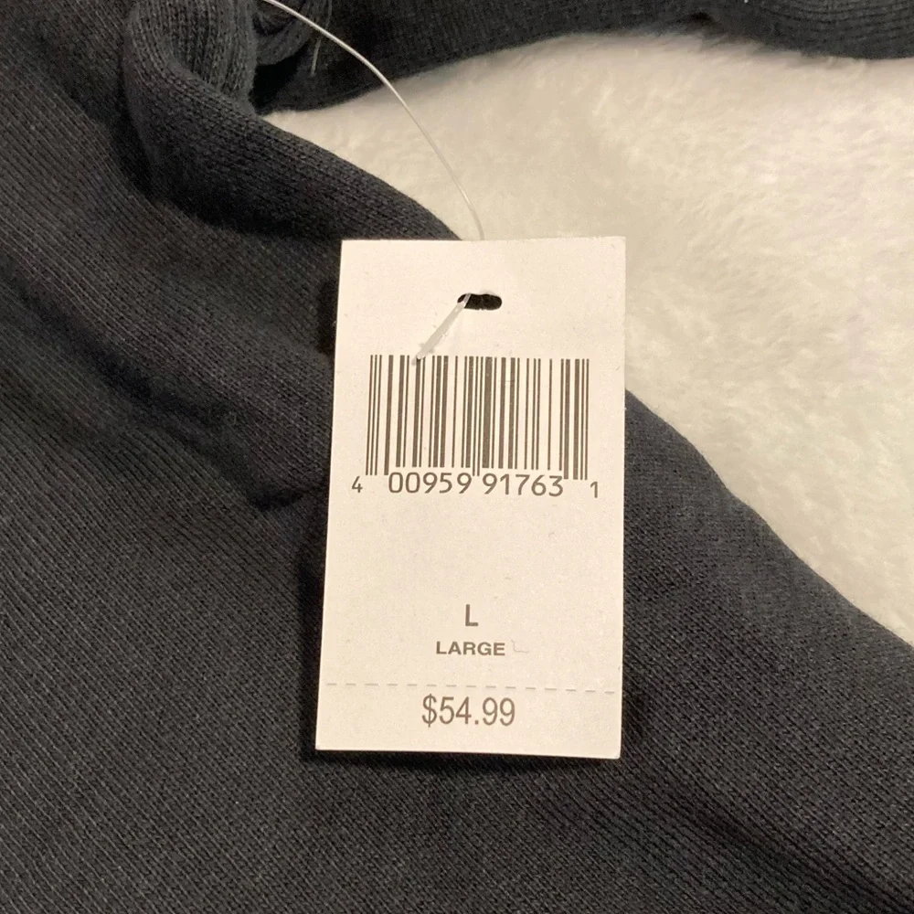 Disney Parks Walt Disney World 2024 Black Hoodie Men's L - Picture 7 of 14